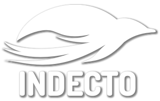 Indecto logo